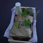 Vineyard Escape Herbersteinova Klet 3*