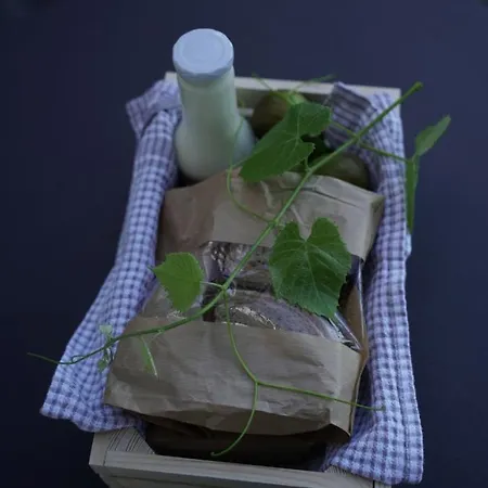 Vineyard Escape Herbersteinova Klet 3*