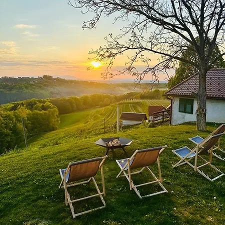 Vineyard Escape Herbersteinova Klet Bed & Breakfast 3*