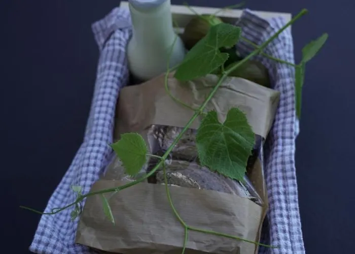 Vineyard Escape Herbersteinova Klet 3*